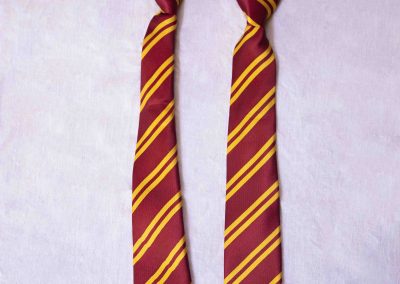 Accessoire studio - Cravates Harry Potter
